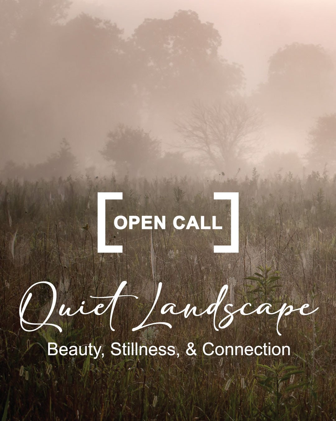 Quiet Landscape: Beauty, Stillness, & Connection