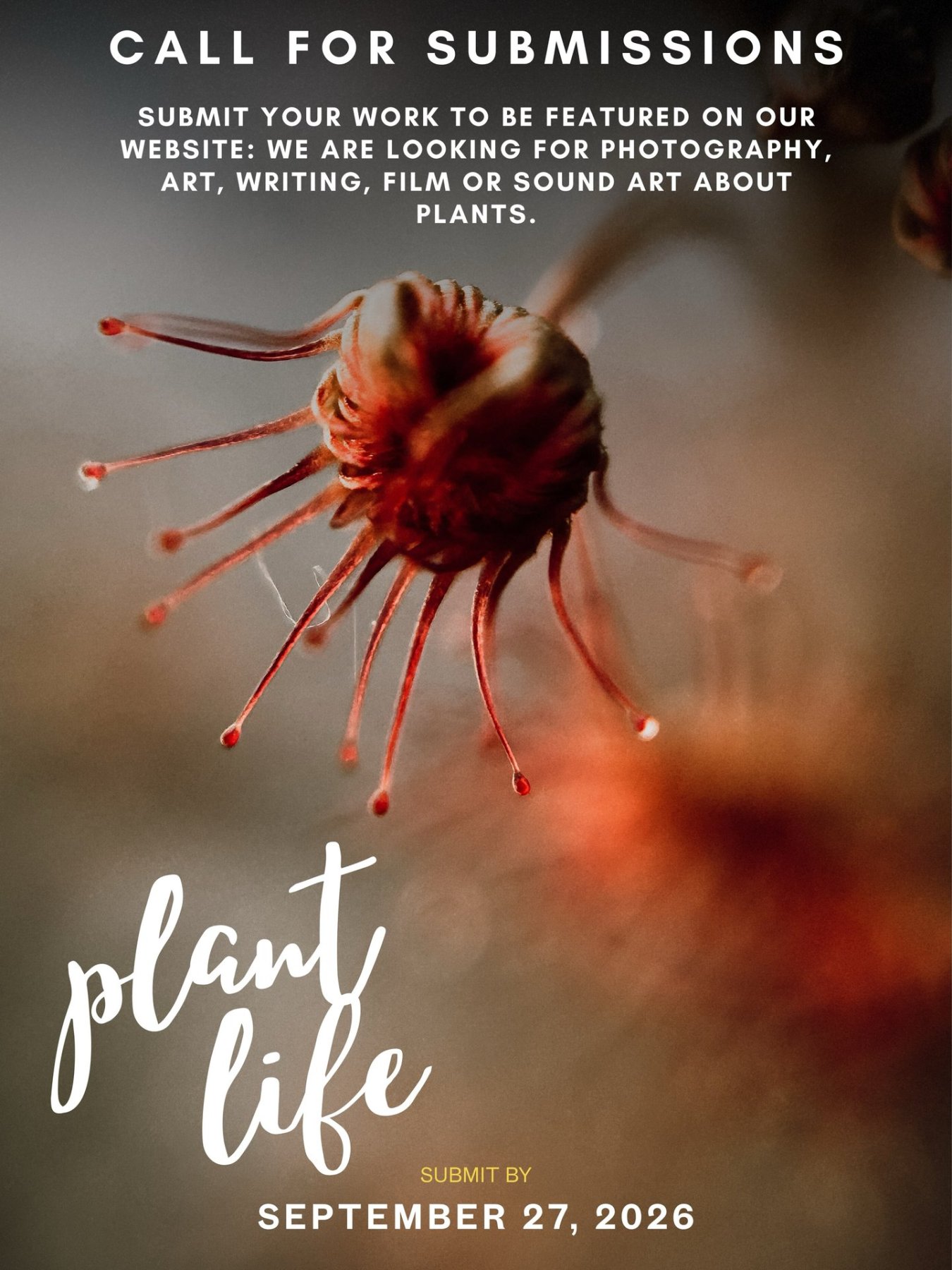 Plant Life - Call for Submissions