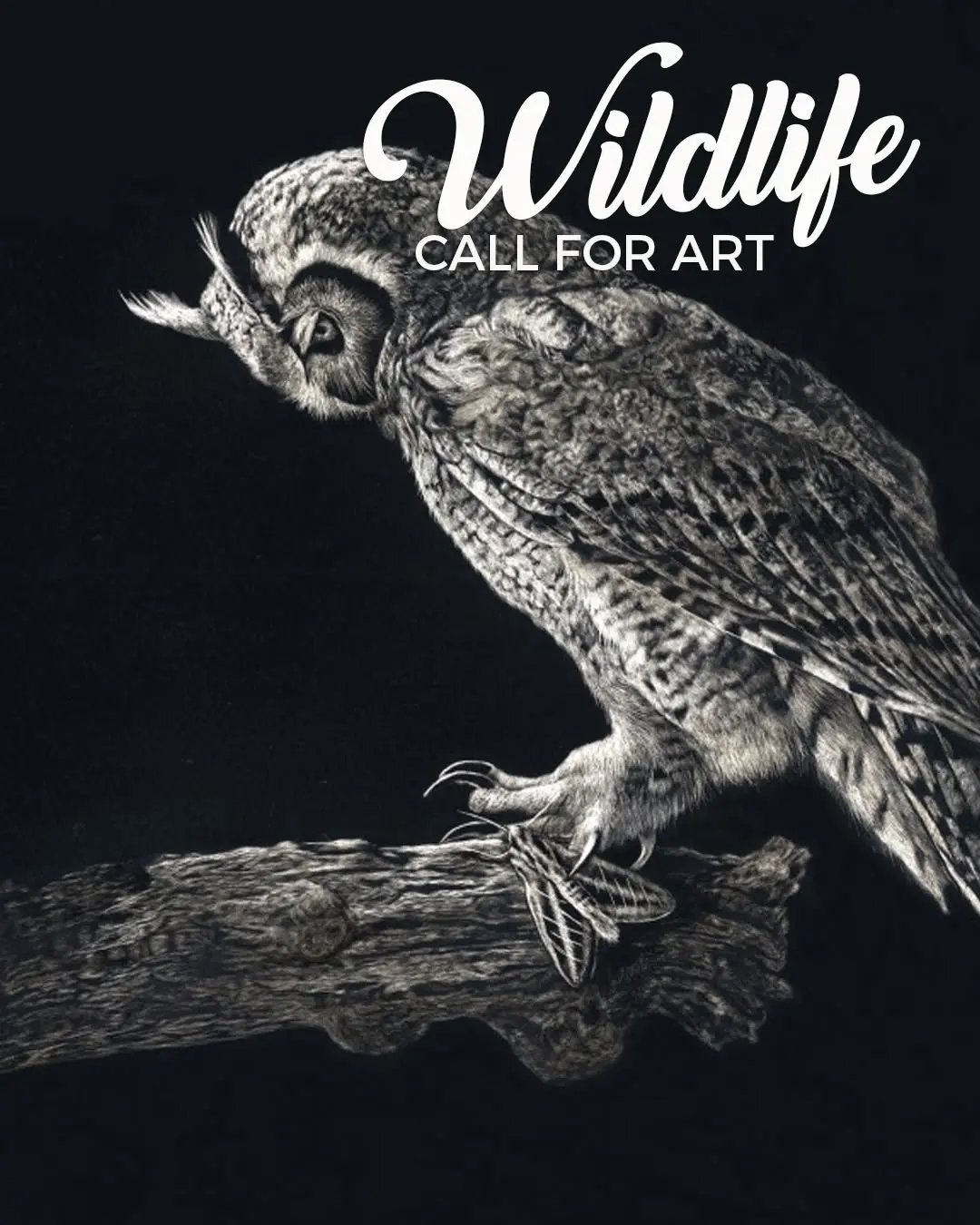 International Artist Wildlife Art Challenge