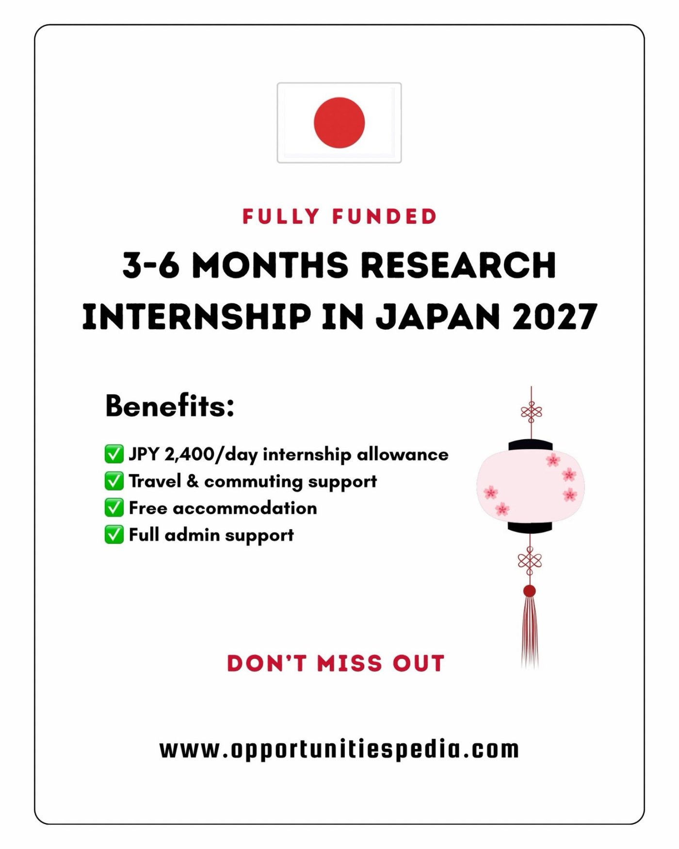 3-6 Months Research Internship in Japan 2027