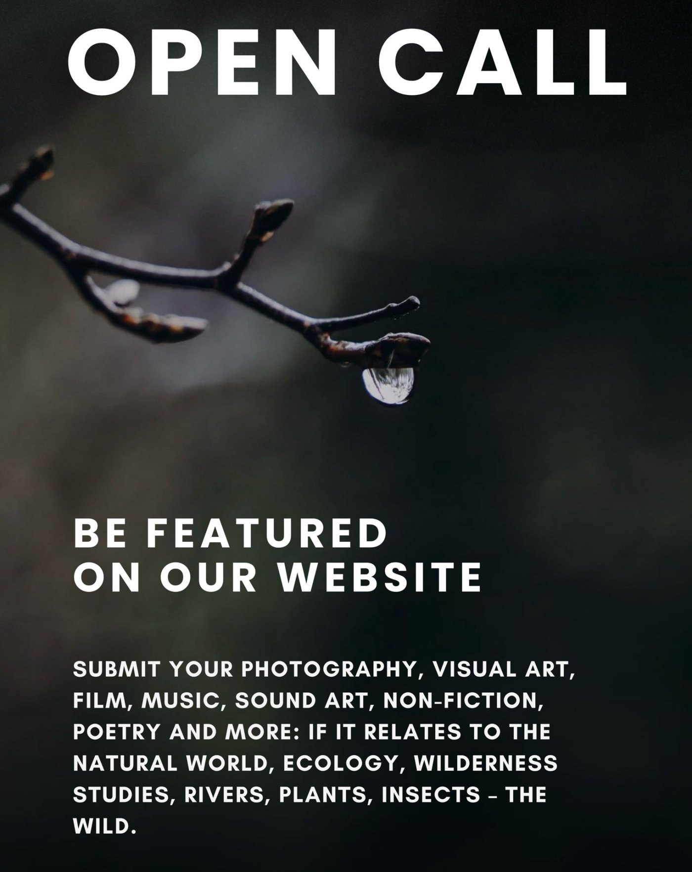 Open Call: Feature Your Work on River Margin Website