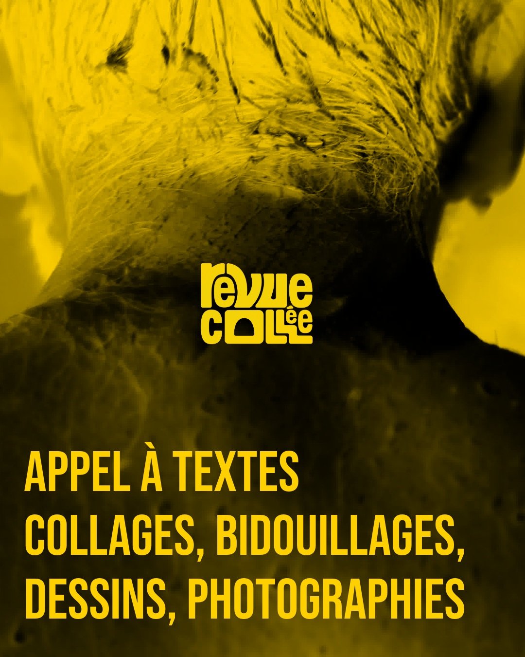 Appel à contributions - Revue Colée : Thème "Exhib'"
