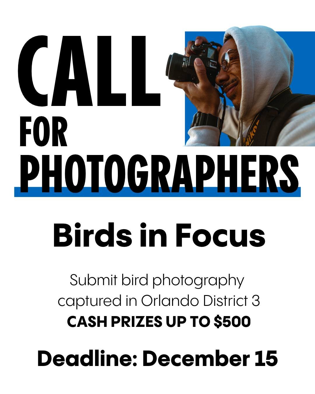 Birds in Focus - Call for Photographers