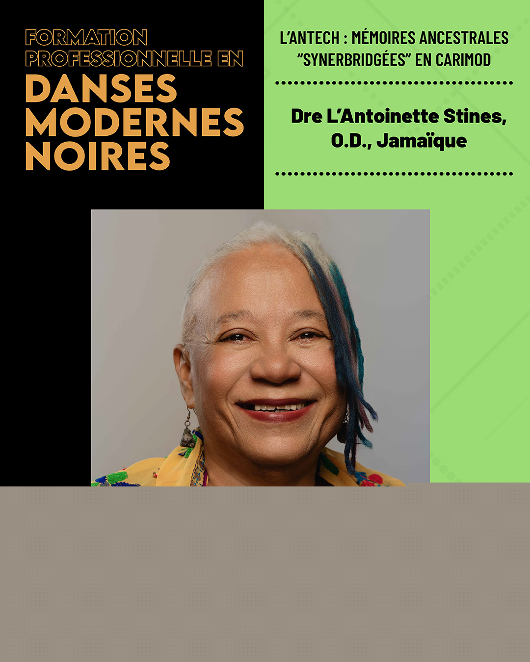 FORMATION PROFESSIONNELLE EN DANSES MODERNES NOIRES