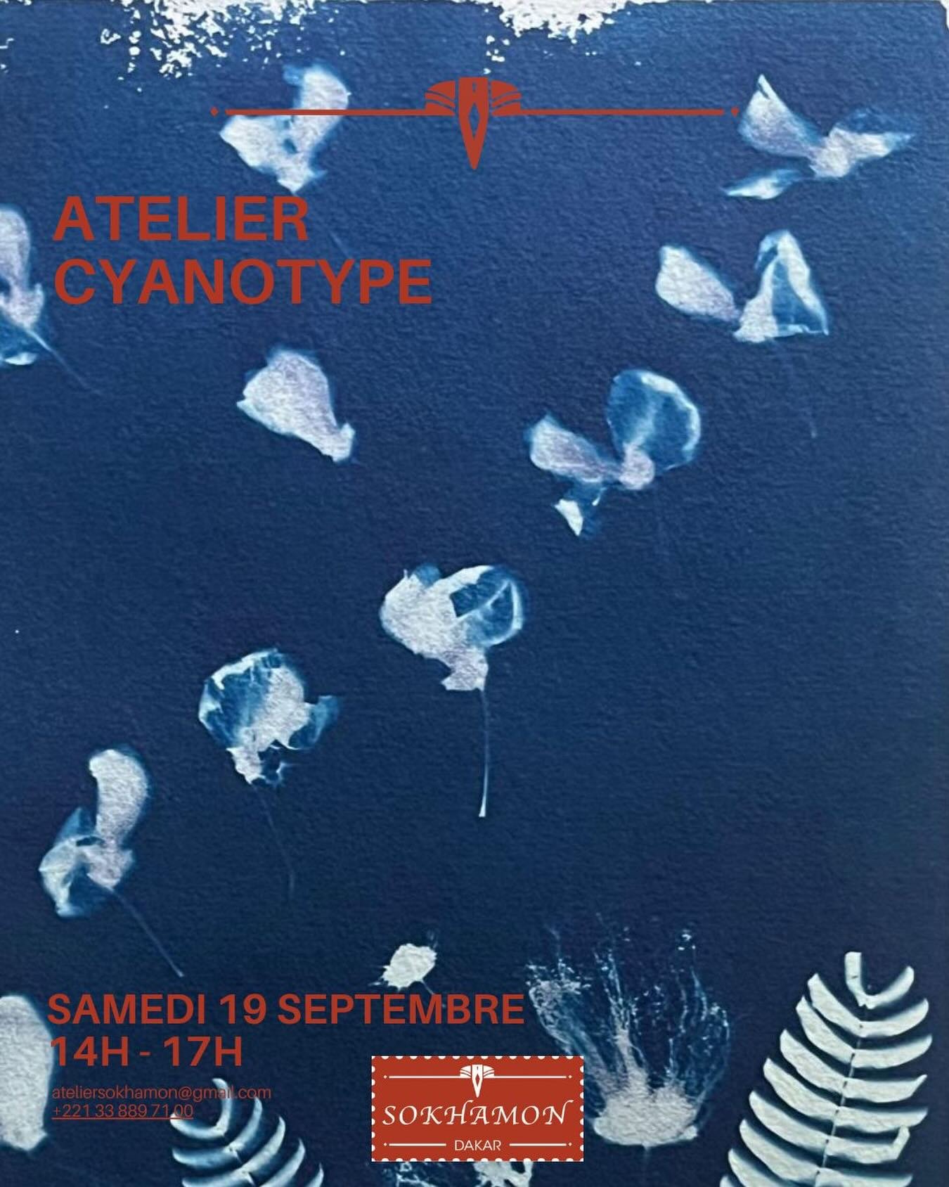 Atelier Cyanotype