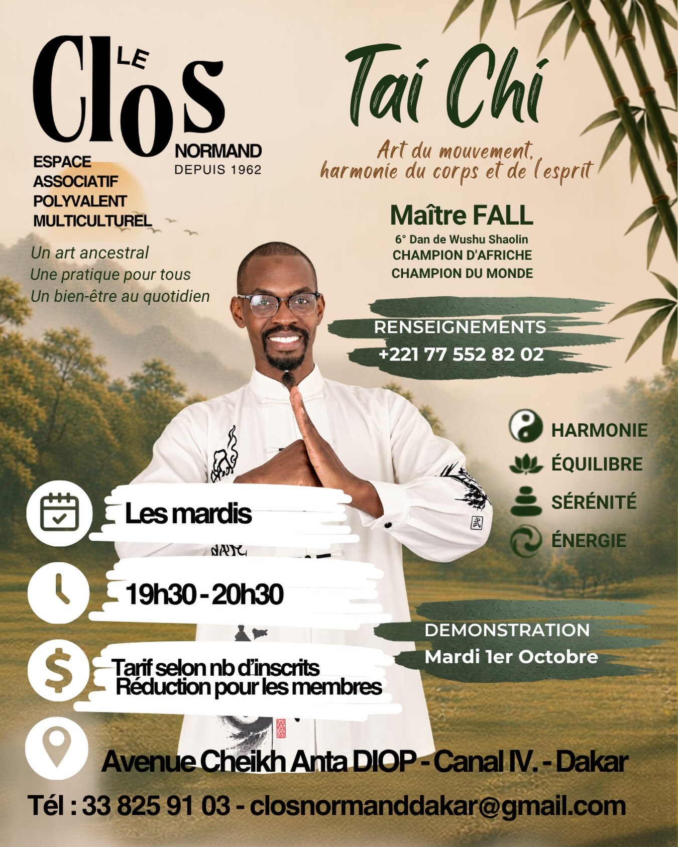 Ateliers de Taï Chi avec Maître FALL