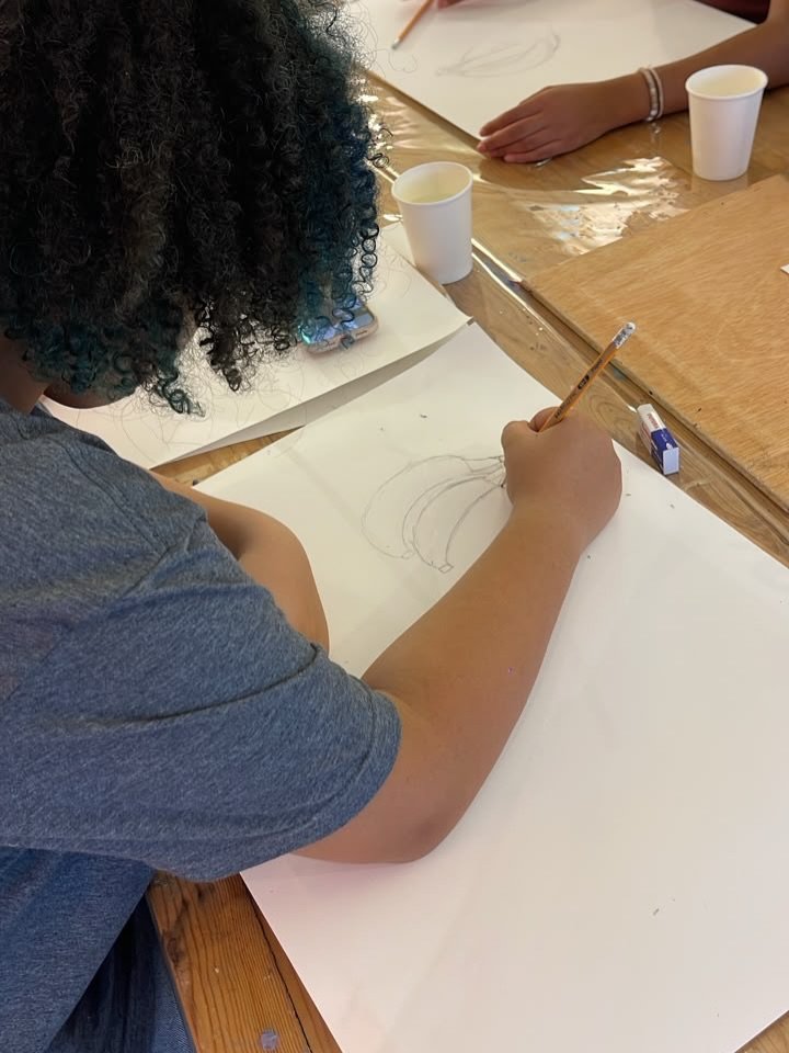 Young Artists Club - Atelier de dessin d'observation