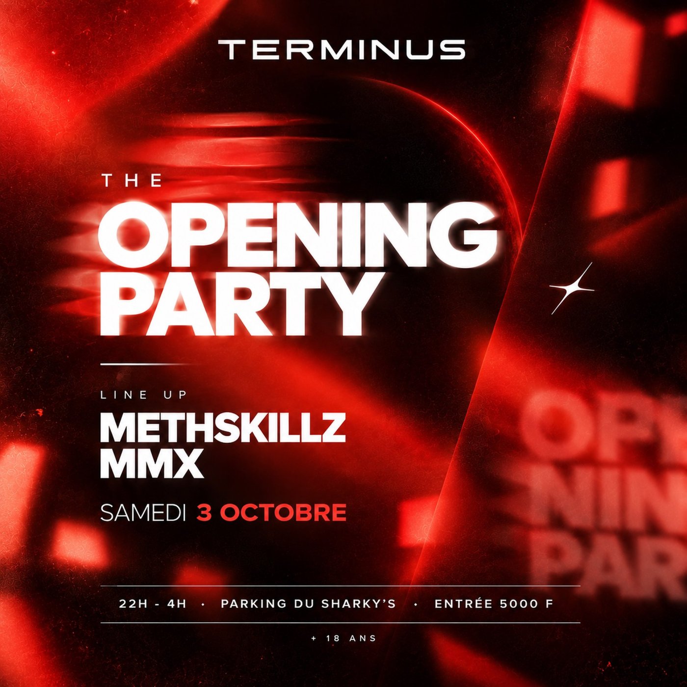 THE OPENING PARTY