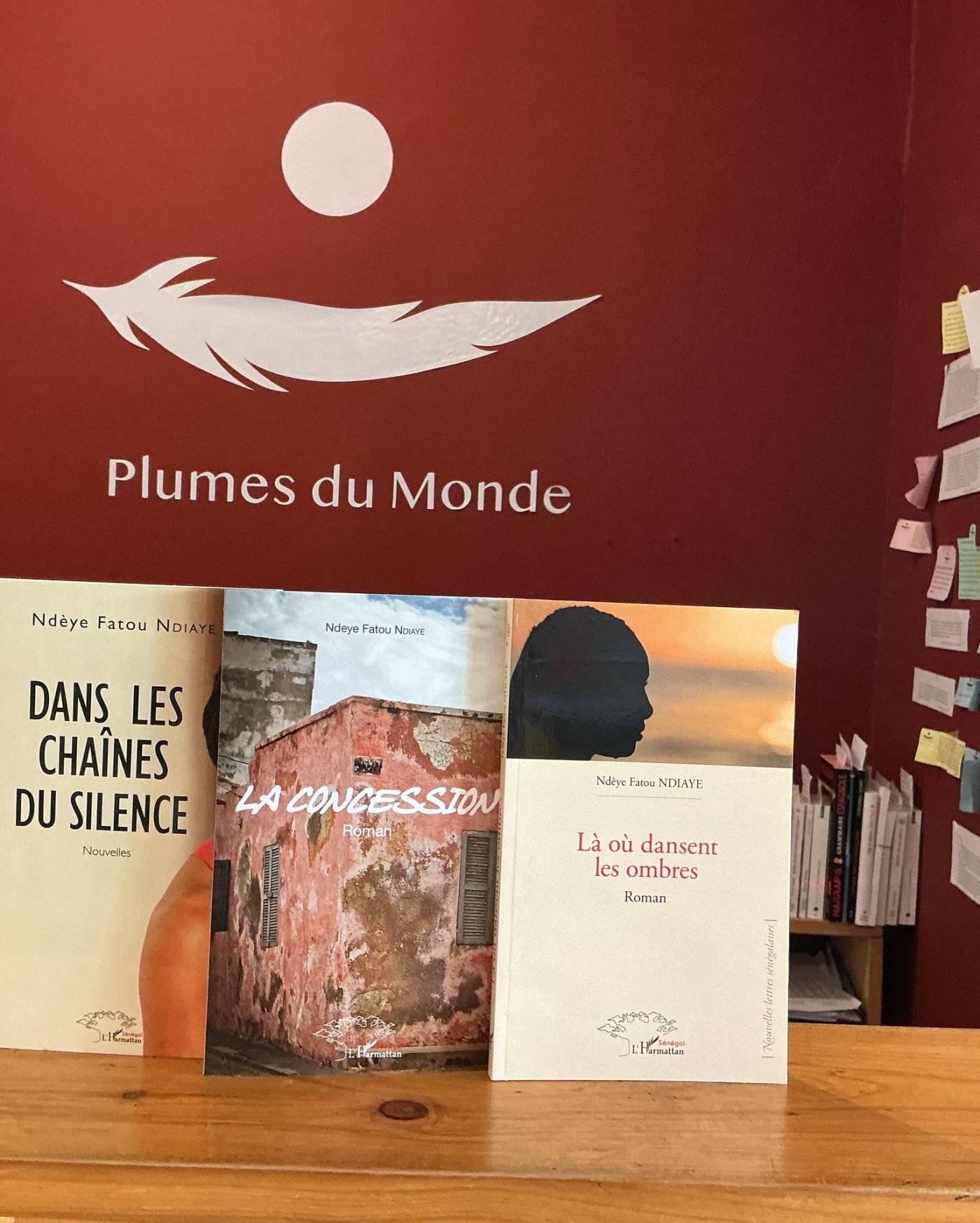 Rencontre littéraire avec Ndèye Fatou Ndiaye autour de « Là où dansent les ombres »