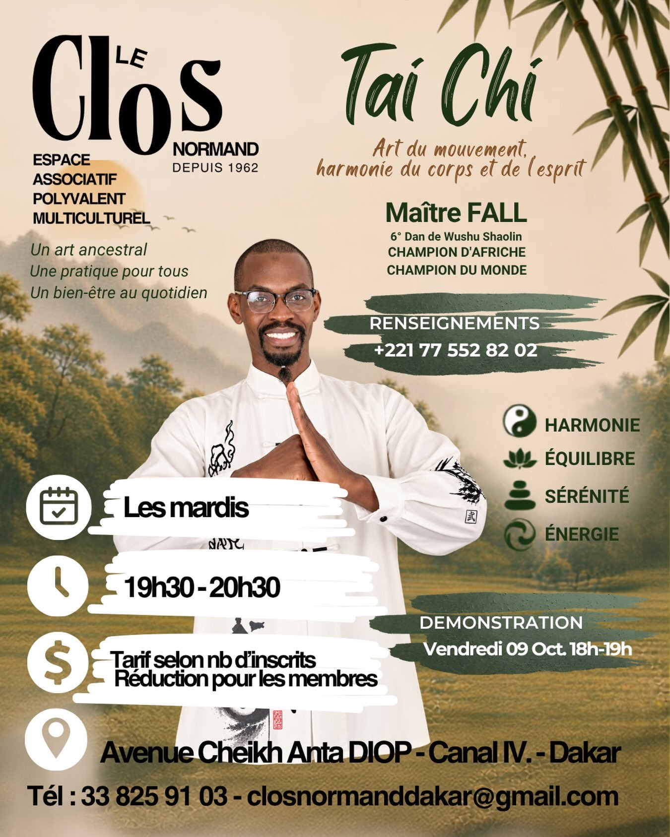 Cours de Taï Chi avec Maître FALL