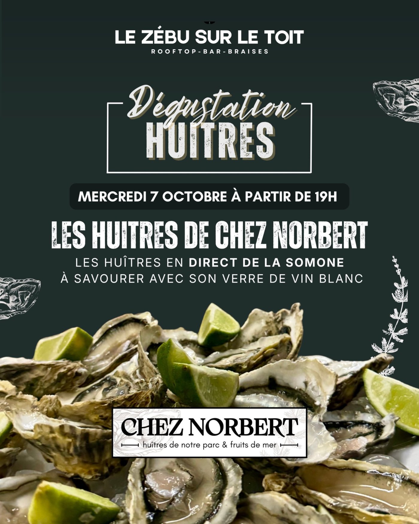 Dégustation Huîtres : Les Huîtres de Chez Norbert