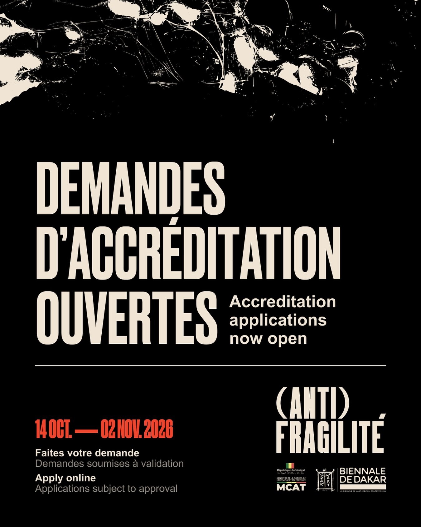 Demandes d'Accréditation Ouvertes - Biennale de Dakar 2026 : (Anti) Fragilité