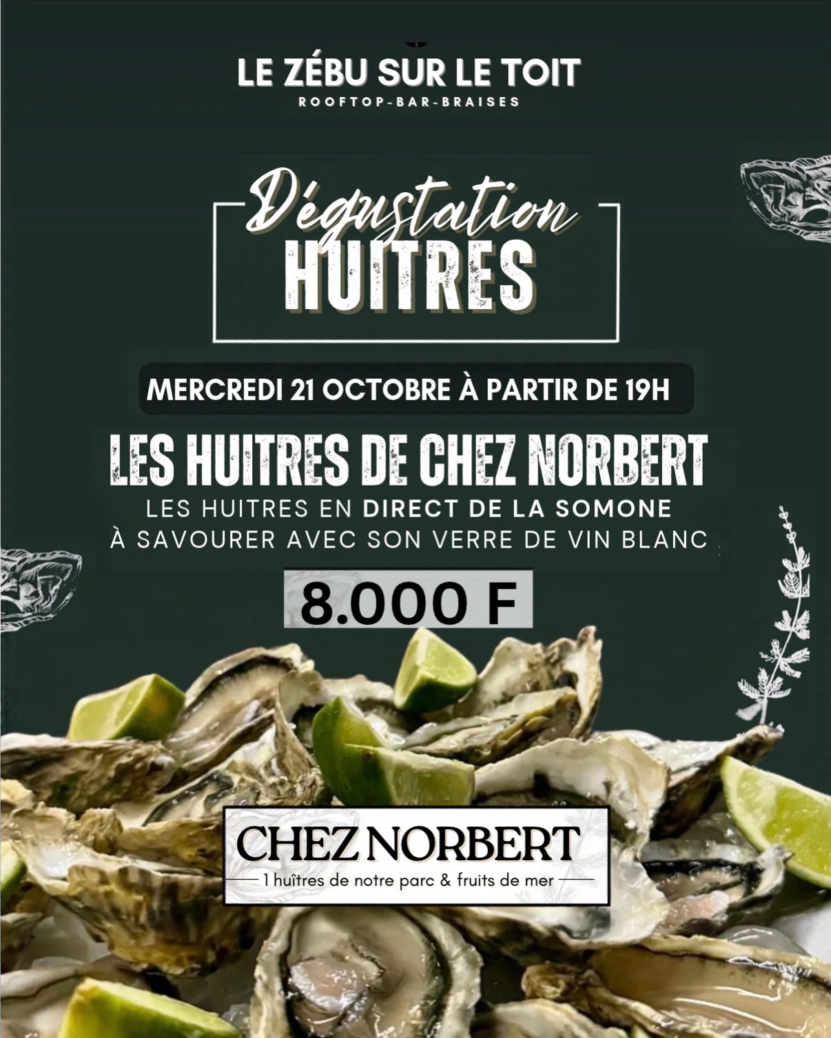 Dégustation Huîtres : Les Huîtres de Chez Norbert